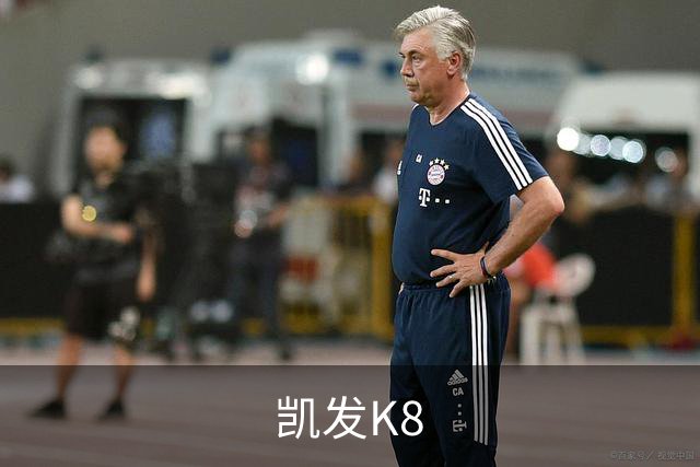 凯发K8公司简介展示图